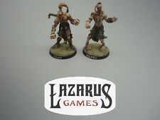 Rackham miniatures kelt for sale  Harrisburg