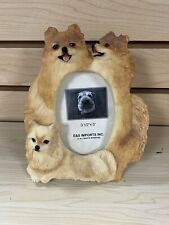 Pomeranian dog picture for sale  Ramseur
