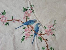 Budgies budgerigars cherry for sale  SHREWSBURY