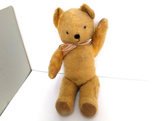 pedigree bear for sale  NORTHAMPTON