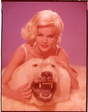 Tapete Carroll Baker Harlow 1965 Glamour Pose on Bear Original Transparência 8x10 comprar usado  Enviando para Brazil