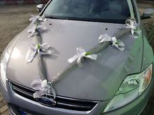 Autoschmuck hochzeit autogirla gebraucht kaufen  Neunkirchen-Seelscheid