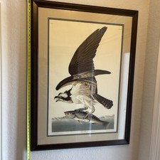 fishhawk for sale fishhawk for sale Winter Haven