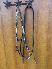 Used western horse for sale  Waterloo