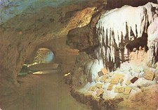 Savonnieres grottes petrifiant d'occasion  France
