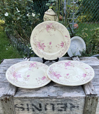 Assiettes plates polychrome d'occasion  Villeneuve-la-Guyard