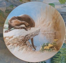 Otter plate for sale  WORTHING
