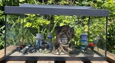 4ft fish tanks for sale 4ft fish tanks for sale BUSHEY