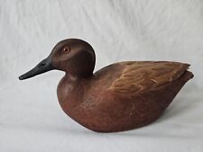 Cinnamon teal duck for sale  Deltona