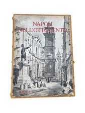 Napoli nell ottocento usato  Torre del Greco