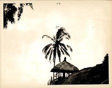 Ga270 original photo for sale  Dixon