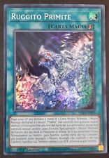 Ruggito primite super usato  Venezia