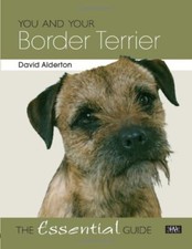 Border terrier essential for sale  UK