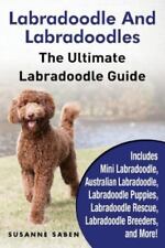 Labradoodle labradoodles ultim for sale  Aurora