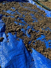 Rabbit manure fertilizer for sale  Long Beach