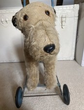 1950 fox terrier for sale  FAVERSHAM