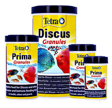 Tetra prima discus for sale  DARTFORD