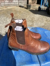Cameo brown jodhpur for sale  COLERAINE