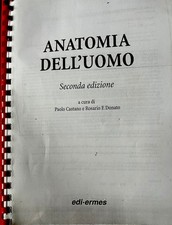 Copia anatomia dell usato  Reggio Calabria