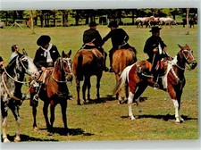 38065163 tracht criollo gebraucht kaufen  Eimeldingen