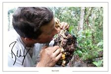 Bear grylls signed for sale  UK