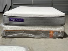 Purple premier hybrid for sale  USA