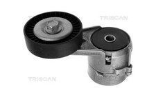 Triscan galet tendeur d'occasion  Corbas