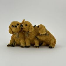 Three golden retriever for sale  Akron