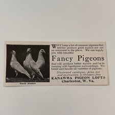 Kanawha pigeon lofts for sale  Hinckley