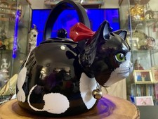 Black white cat for sale  Essex