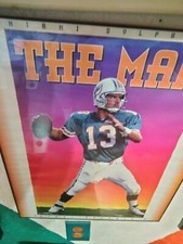 Miami dolphin dan for sale  San Antonio
