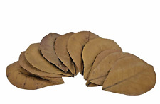 Natural ketapang catappa for sale  KIRKCALDY