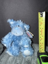 Rare blue nose for sale  THORNTON-CLEVELEYS