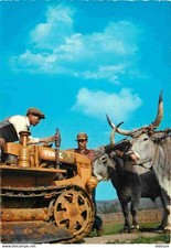 Animaux vaches tracteur d'occasion  Fruges