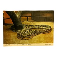 George burmese python for sale  Lynn Haven