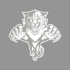 Florida panthers nhl for sale  Mount Pleasant