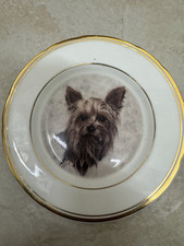 Vintage yorkshire terrier for sale  BELFAST