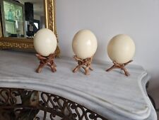Ostrich egg its d'occasion  Expédié en Belgium