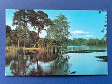 Godalming postcard broadwater for sale  HITCHIN