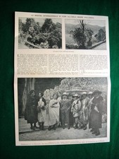 Nel 1921 pallanza usato  Villarosa