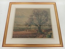 mcintosh patrick prints for sale mcintosh patrick prints for sale RUGBY