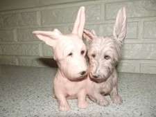 Superbe couple chien d'occasion  Chocques