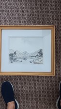david bellamy for sale david bellamy for sale THORNTON-CLEVELEYS