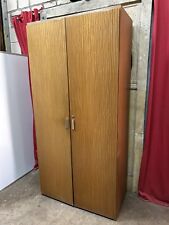 Vintage school cupboard for sale  MANCHESTER