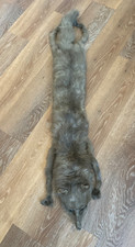 Vintage taxidermy fox for sale  IPSWICH