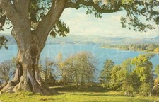 Vintage postcard c1960s for sale  UK