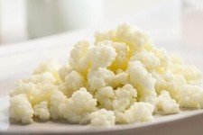 Milk kefir 10g d'occasion  Expédié en France