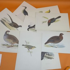 Bird prints card for sale  RETFORD