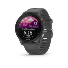 Smartwatch Garmin Forerunner 255, cinza ardósia, GPS para corredores 010-02641-00 comprar usado  Enviando para Brazil