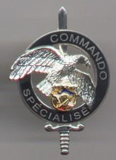 Brevet moniteur commando d'occasion  Arcis-sur-Aube
